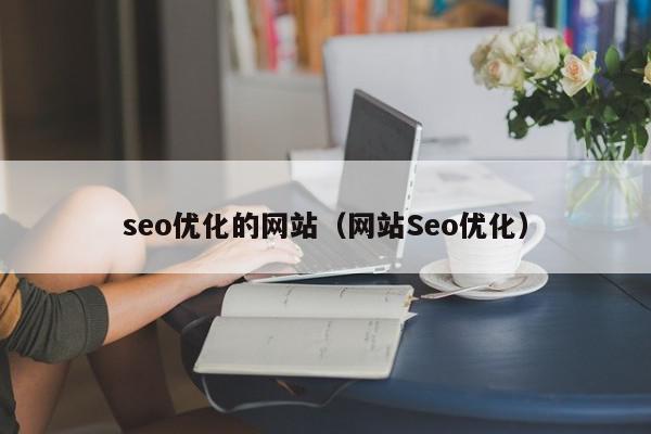 seo优化的网站（网站Seo优化）