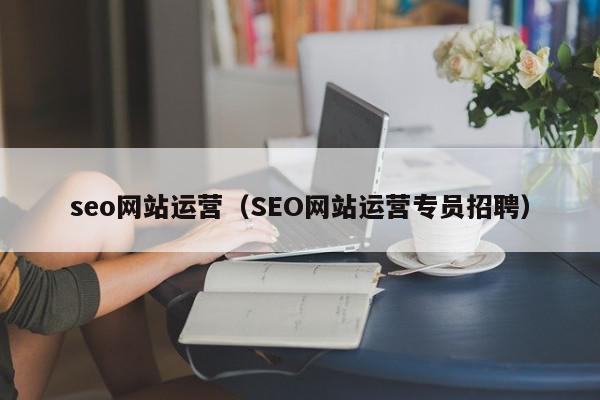 seo网站运营（SEO网站运营专员招聘）
