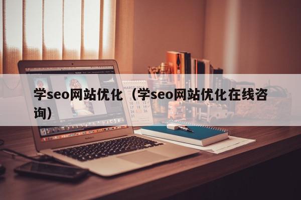学seo网站优化（学seo网站优化在线咨询）