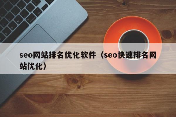 seo网站排名优化软件（seo快速排名网站优化）