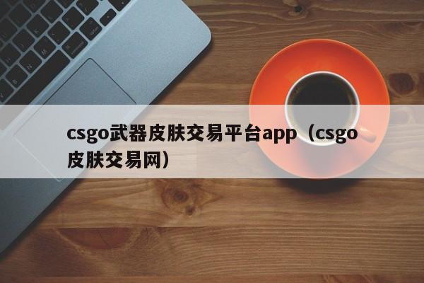 csgo武器皮肤交易平台app（csgo皮肤交易网）